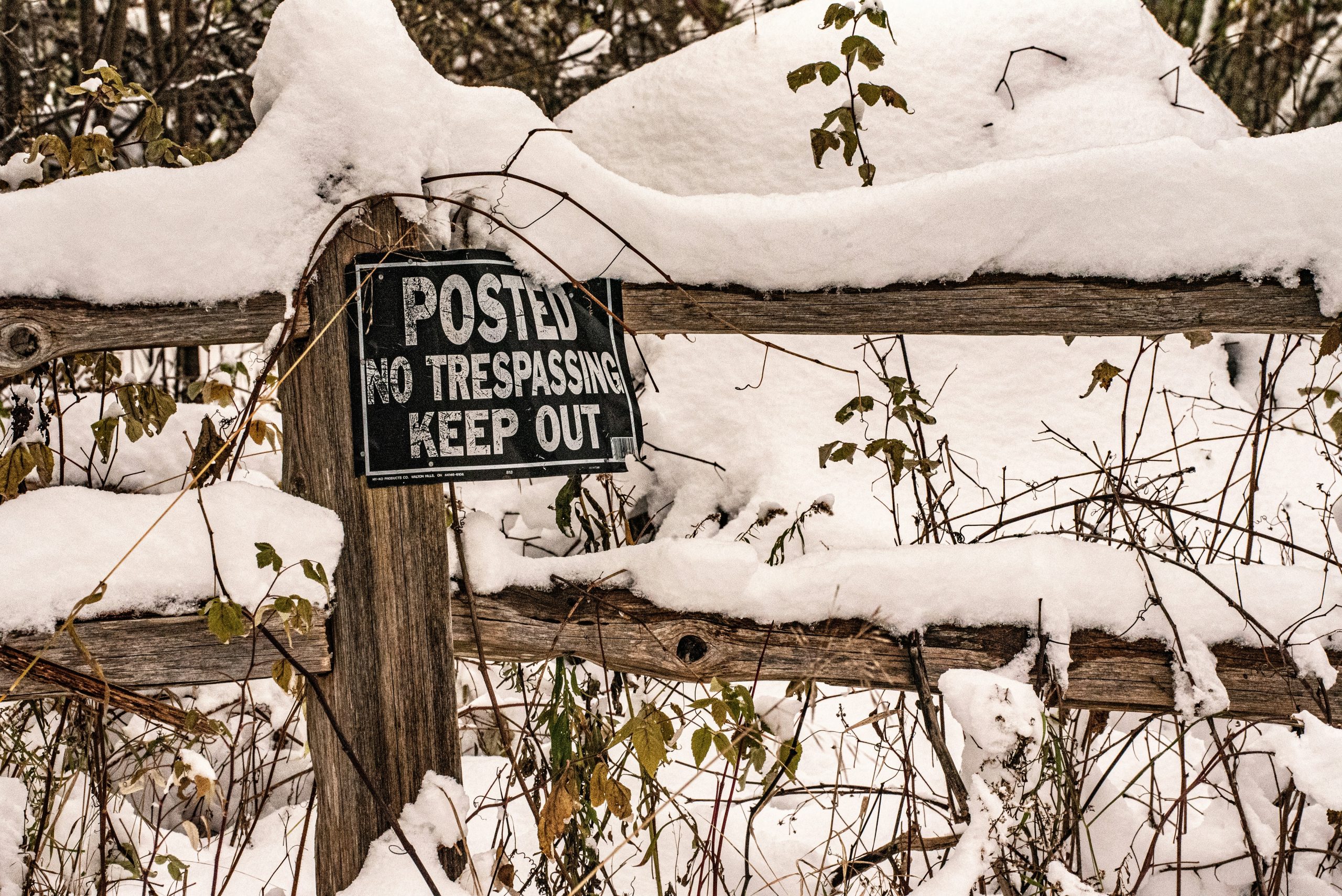 peggy-sue-zinn-A0N9V4aQMgM-unsplash