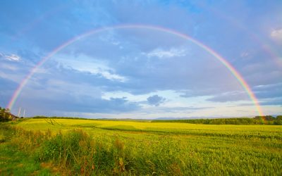 Counting of God’s Promise to Forgive