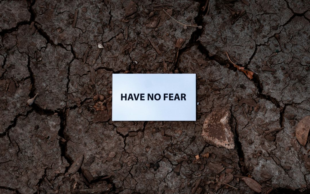 Don’t Be Afraid